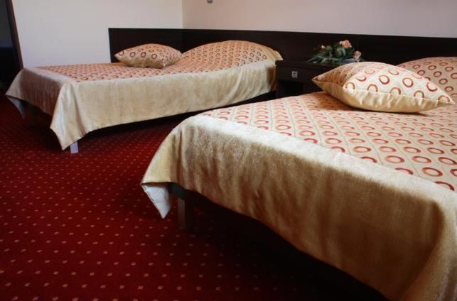 Отель Hotel Wasik Krogulcza-36