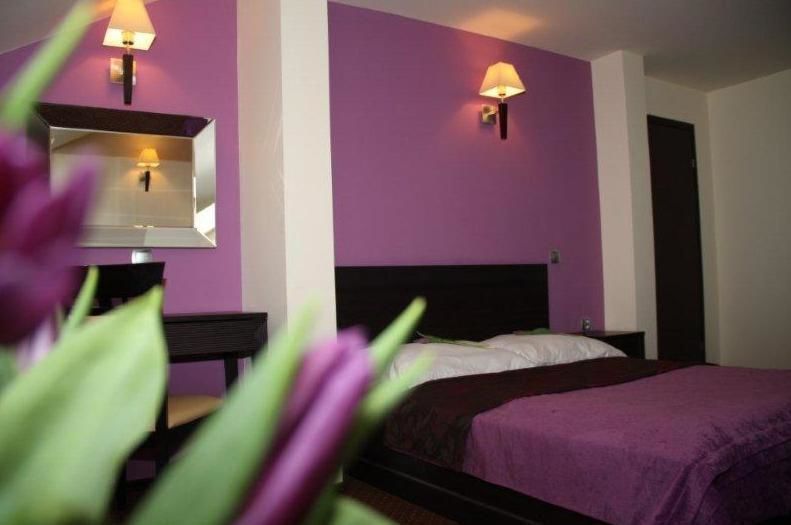 Отель Hotel Wasik Krogulcza-44